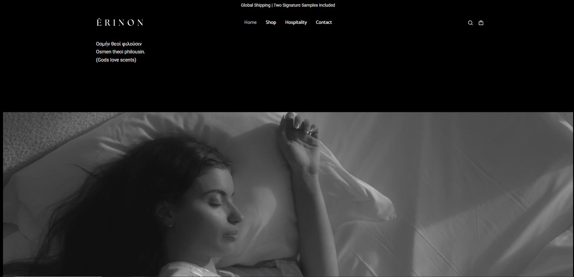 Erinon preview 3