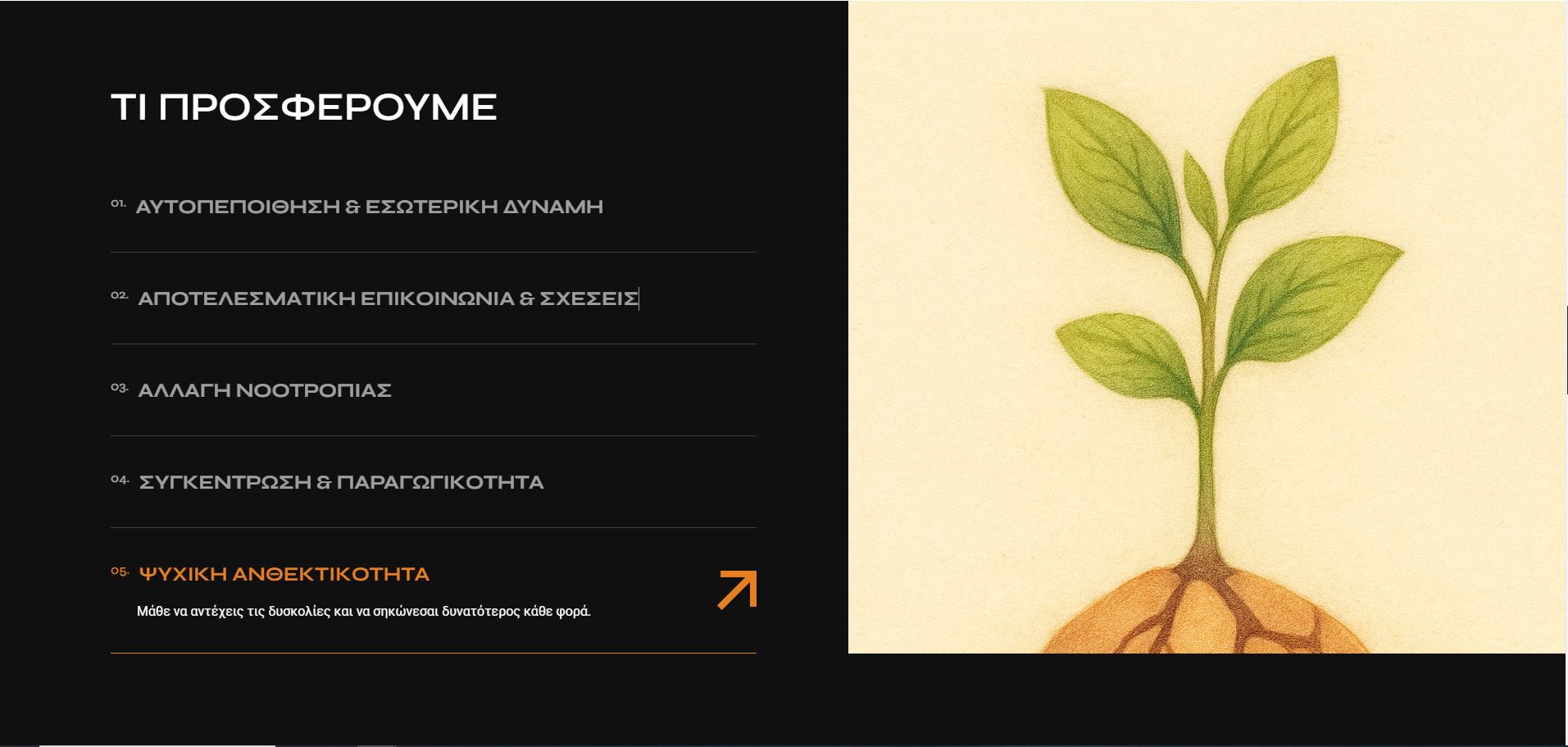 Everreads preview 2